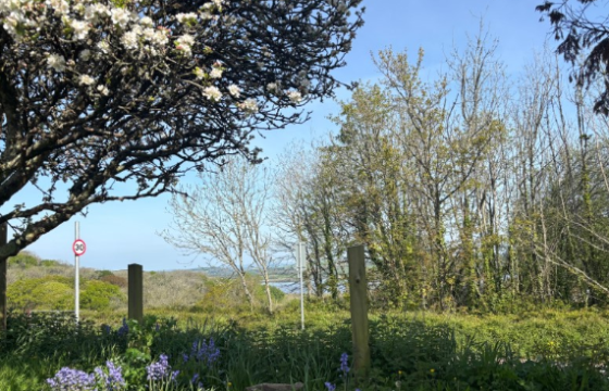 Land for sale in Torpoint photo